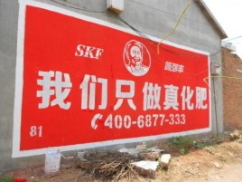 桐柏刷墙广告”蕴含了时代命题