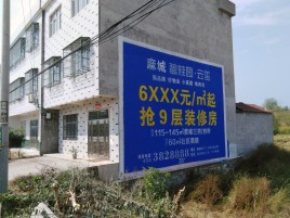 桐柏墙体广告质量分析