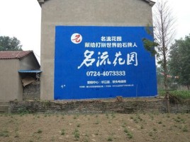 桐柏农村墙体广告的长尾效应