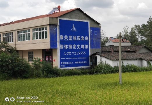 桐柏决定墙体广告价格的因素有哪些?