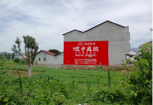 桐柏做墙体广告的意义