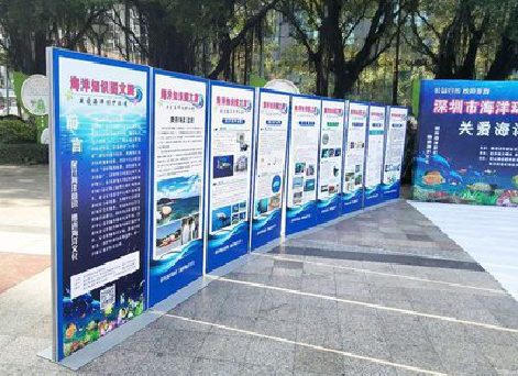 桐柏KT板的种类和知识。